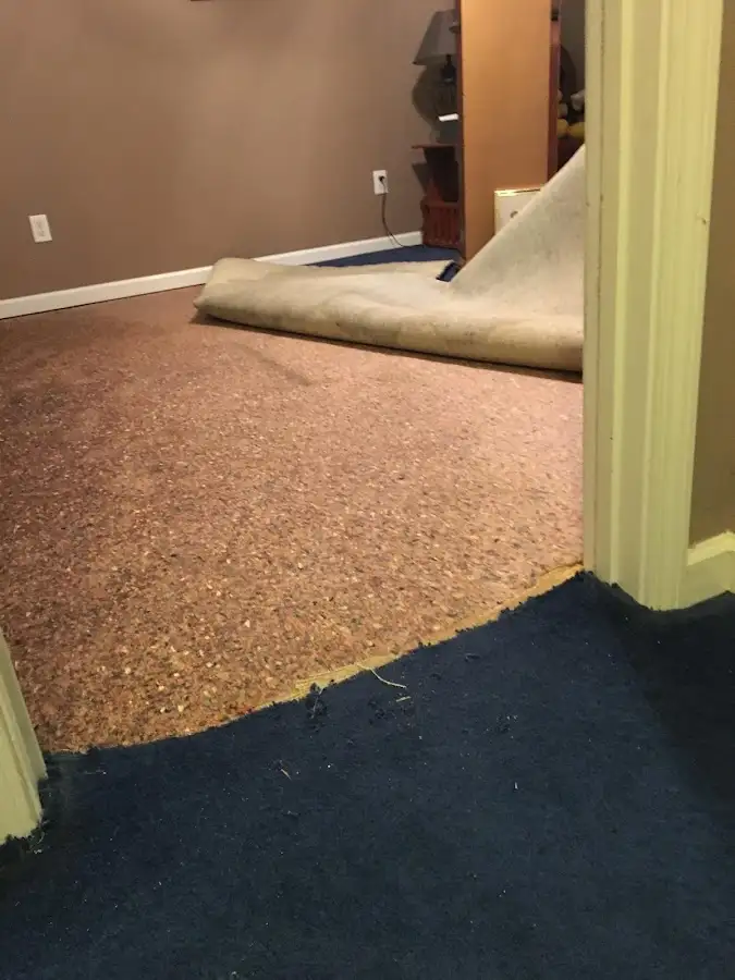 Carpet pad removal revealing water damage during Drying & Dehumidification in Newport Beach