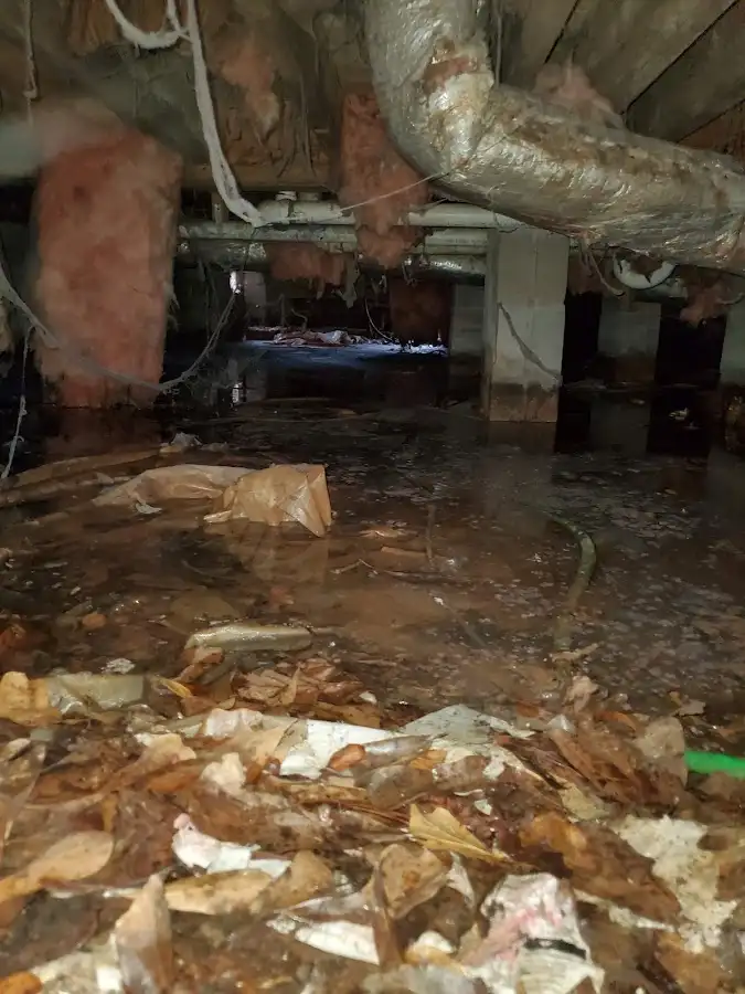 Crawl space flood assessment for Leak Detection & Repair in Newport Beach