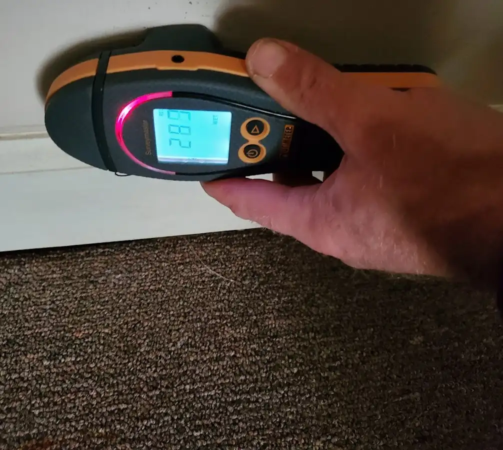 Moisture detection at baseboard during Sewage Cleanup & Sanitation in Newport Beach